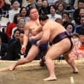 注目の新鋭対決、義ノ富士が一方的に藤ノ川を下す　解説の花田虎上さん「スピードがあった」