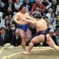 義ノ富士、新鋭対決に完勝　星を五分に戻して後半戦へ「今日みたいな相撲を取っていきたい」