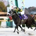 「佐賀のホシ」「一番の星」単勝１・４倍断然人気馬の復活勝利にＳＮＳ歓喜　報知新聞社杯九州クラウンＶのウルトラノホシ