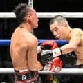 【ボクシング】増田陸「もう少しきれいな勝ち方を」ドネアにTKO勝ち「神の左」で世界挑戦へ
