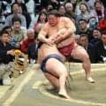 関脇・大栄翔が横綱・豊昇龍撃破で通算６個目の金星「横綱に勝てるのは自信になる」　４勝４敗の五分に