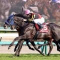 【皐月賞を占う】スプリングＳは新星アウダーシアが勝利…今年は勝ち馬どころか、どの馬が１番人気になるのかを予想する段階から難しい