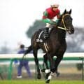 マイネルグロンなど9頭のJRA勝ち馬を輩出 マイネヌーヴェルの末脚光った03年フラワーC