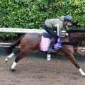 【ファルコンＳ・理貴の特注馬】自在性、安定感光るプリンセスモコ　陣営「このくらいの距離が一番力を出せる」