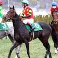 【若葉Ｓ・松ケ下の特注馬】重賞初挑戦の前走で想像以上の強さを見せたコレオシークエンスの素質を再評価