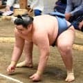 幕内・阿武剋が９日目から再び休場「左足関節捻挫」…休場から再出場も