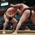 旭富士が序ノ口デビューから13連勝、対戦相手の富豊「うわさ通り強かった」素直に実力認める