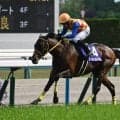 【先週のJRA抹消馬】24年の天皇賞(春)覇者テーオーロイヤル、昨年のレディスプレリュードを制したビヨンドザヴァレーなど
