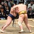 十両若ノ勝が勝ち越し、連続十両Ｖ＆新入幕前進　師匠の元貴景勝「今日が大事」に奮起し１敗堅守