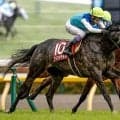 【阪神大賞典想定騎手】アドマイヤテラは武豊騎手、ダノンシーマは川田将雅騎手