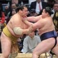十両・若ノ勝が自己最速の９日目で勝ち越しも「何とも思わない。まだまだなので」