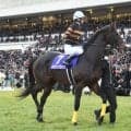 “連対率25%”の好相性馬も？ 3月・4月の中山芝で強い種牡馬とは