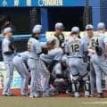 阪神　ＷＢＣから帰国した坂本、佐藤輝、森下が即スタメン出場　ＷＢＣ組で最速合流＆出場