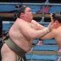 矢後が２勝目　「前の相撲から流れが」と突っ張りで勝機をつかむ