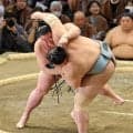 琴勝峰が２敗目　過去１勝７敗の正代に寄り倒される