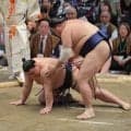 義ノ富士が６敗目　右足を気にする様子も「歩けるので大丈夫」