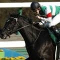 「Japanese Superstar」名牝シーザリオの重賞初制覇 05年フラワーCを振り返る