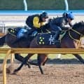 【ファルコンＳ】タマモイカロスは新コンビの小沢大仁騎手騎乗で先着　藤岡調教師「反応がいいし、状態もよさそう」