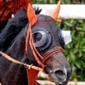【チャンピオンズマイル】日本馬はジャンタルマンタル、シュトラウスなど１１頭登録　香港マイル連覇のヴォイッジバブルと激突