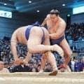 横綱豊昇龍が高安を下して２敗守る　12日目は１敗の霧島と対戦