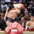 新入幕の藤凌駕が６勝目「このまま引き下がれるわけがない」目の前で兄弟子の藤青雲が勝ち越す