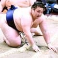 豪ノ山、関脇・霧島との１敗対決に敗れて２敗に後退　「思い切りはいけたと思う。まだまだ自分が弱かった」