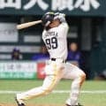 【ソフトバンク】野村勇OP戦１号「開幕スタメン絶対に入りたい」残り３試合も強烈アピールだ