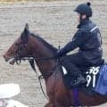 【注目馬動向】ラヴェニューは骨挫傷で春全休が決定　友道調教師「復帰は秋になるんじゃないかと思っています」