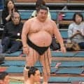 元幕内が１３年ぶり対戦、勝ち越しお預け鳰の湖「こんなに重かったのか」千代丸に押し出される【大相撲春場所】