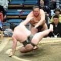 幕下・吉井が勝ち越し　大鵬を祖父に持つ元十両・夢道鵬を押し倒し「胸を借りるつもりでいった」