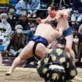 十両若ノ勝が９勝目で新入幕へ前進、フィギュア銅メダルの佐藤駿は埼玉栄の同級生「刺激になる」