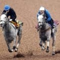 【高松宮記念・１週前】繰り上がり出走見込みのララマセラシオンは３頭併せで最先着　丸田恭介騎手「いい感じ」