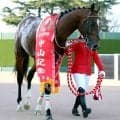 【注目馬動向】大阪杯でＧ１初制覇目指すレーベンスティールが栗東へ　田中博師「（２走前と）同じことはできない」