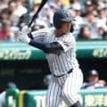 DH制導入で変化した甲子園　ベンチ外から抜擢も…選手の本音「少し不安」「格段に変わった」