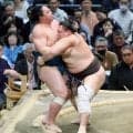元大関・朝乃山が４連勝で２場所連続の勝ち越し　「一番でも多く白星を重ねたい」