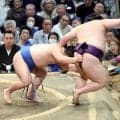 藤ノ川「理想の相撲」で苦手意識を払拭　初の上位総当たりも「充実している」