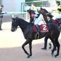 【岩田康誠の熱血！！競馬道】２着にも収穫は大きかったアスクエジンバラ「皐月賞でもいい勝負ができるのでは」