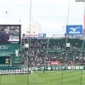 WBCで話題殺到→選抜でファンが即反応「甲子園にもあるんだ」　日本企業に“ネトフリ効果”