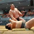 “史上最強の新弟子”旭富士が無傷１４連勝で決定戦に、惜敗の対戦相手「ものにできなかった」