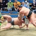 西幕下筆頭・栃大海が勝ち越し　来場所の再十両に前進「相撲を取れる喜びを持って、全力でいけた」