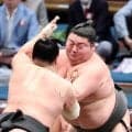 西幕下２枚目の大花竜が６勝１敗で今場所を終え、来場所の新十両昇進は決定的