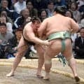 安青錦が冷や汗６勝目　琴桜との大関対決制し、勝ち越しに望み
