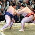 新小結の熱海富士が勝ち越し　八角理事長「大関候補になるには２ケタ勝つこと。内容的にはこのまま伸ばせばいい」