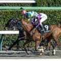 【マーチS想定馬・騎手】ブレイクフォース、サンデーファンデーなど22頭