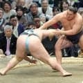 豊昇龍、トップと２差を死守　横綱初優勝は厳しい状況も「まだ諦めてないからね」