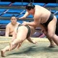 序ノ口は小力と中村部屋勢の阿龍、翔盛で優勝決定ともえ戦へ　１８歳・翔盛「力を出し切るしかない」