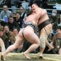元大関の朝乃山の連勝が４で止まり８勝５敗　残り２番で２ケタ勝利へ「ギリギリですね」