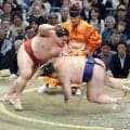 隆の勝が幕内通算３００勝「そんなに勝ってたんだと、びっくり」