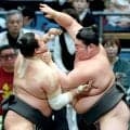 大花竜、来場所の新十両昇進が確実に　師匠の檄で６勝目「絶対にこの一番勝ちたいなと思っていた」