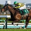 フラワーCはキズナ産駒が好相性 複勝率67%をマークする注目の前走クラスとは